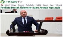 Fındıkta Destek Ödemeleri Mart Ayında Yapılacak